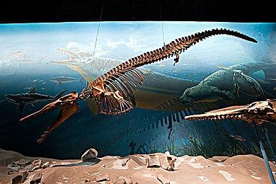 《反恐精英2》更新发布 添加左手瞄准选项